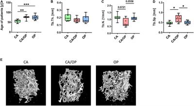 Influence of Extracellular Vesicles Isolated From Osteoblasts of Patients With Cox-Arthrosis and/or Osteoporosis on Metabolism and Osteogenic Differentiation of BMSCs